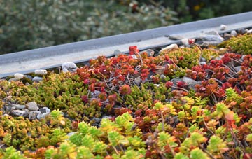 the cost of Well End green roof installation